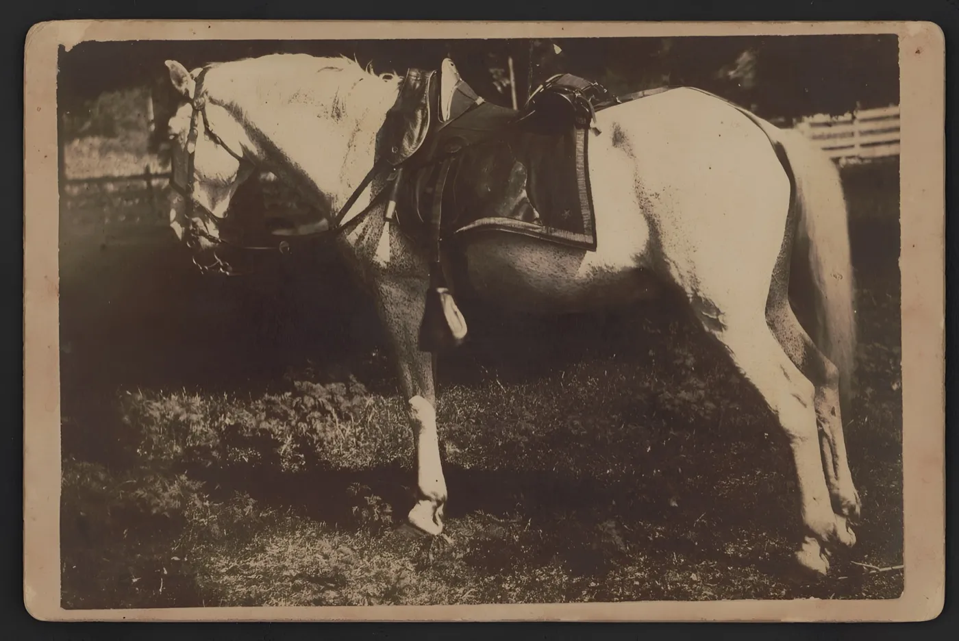 The same card at four times the size, grain removed, tone unchanged