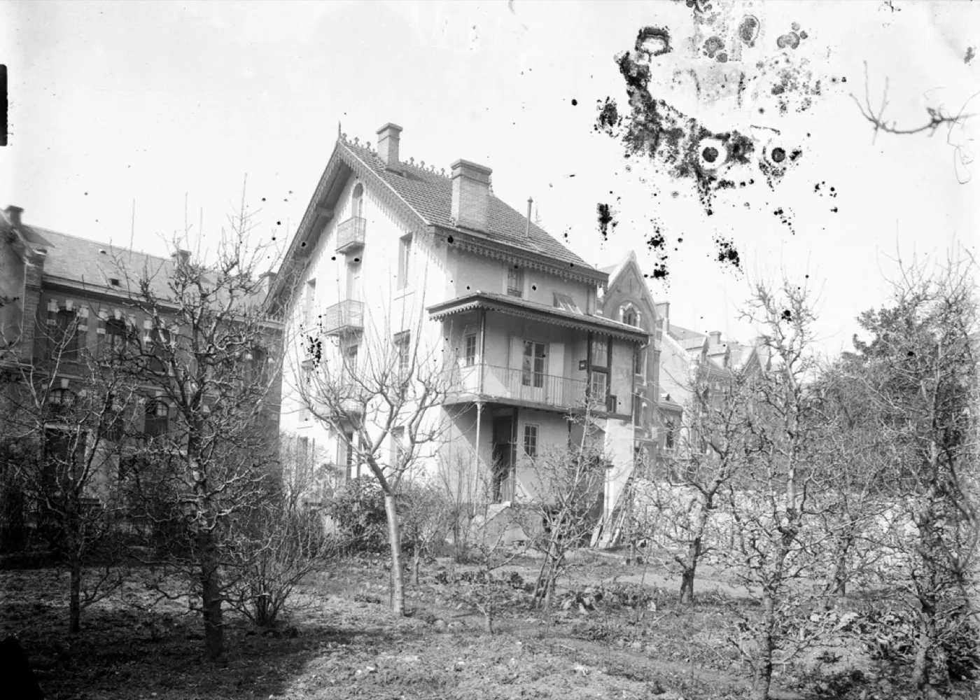 A house and bare orchard with dense fungal spotting across the sky